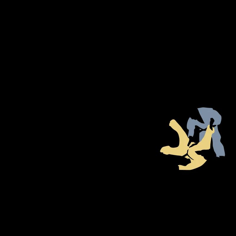 evolution_judo_a_3c