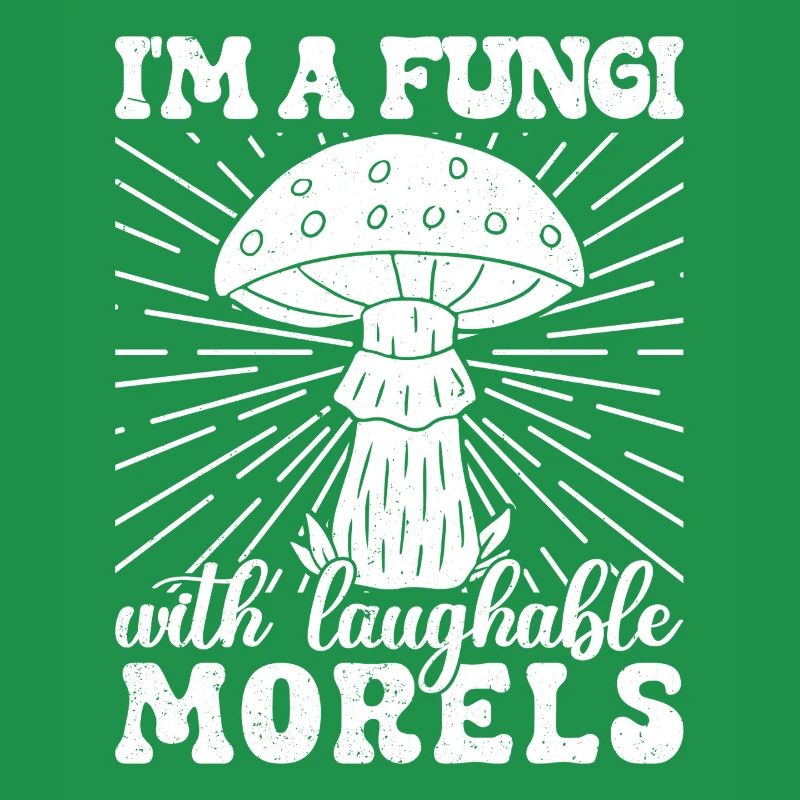 Morilles Champignons Champignons Morilles risibles Champignon