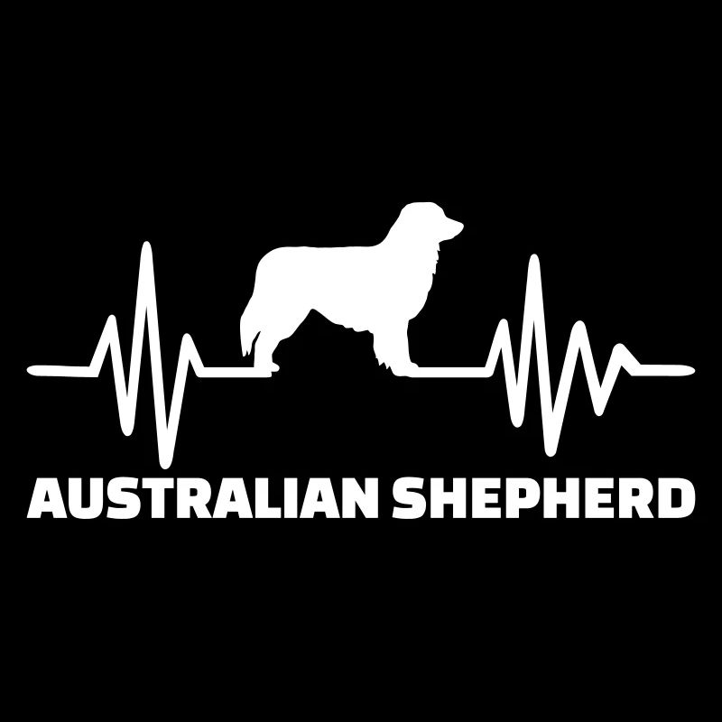 Australian shepherd