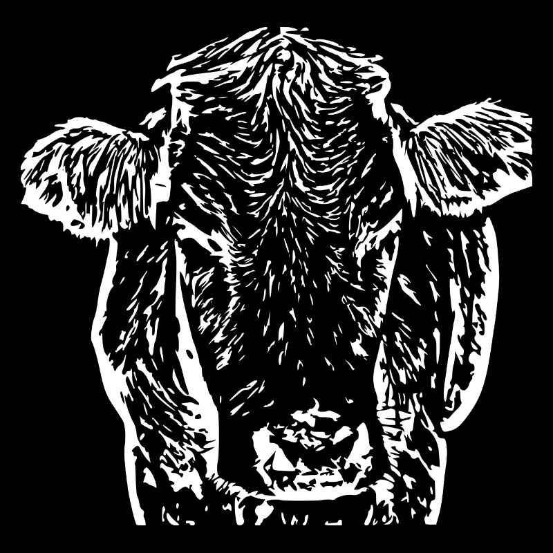 Vache Tête de Vache Blanche