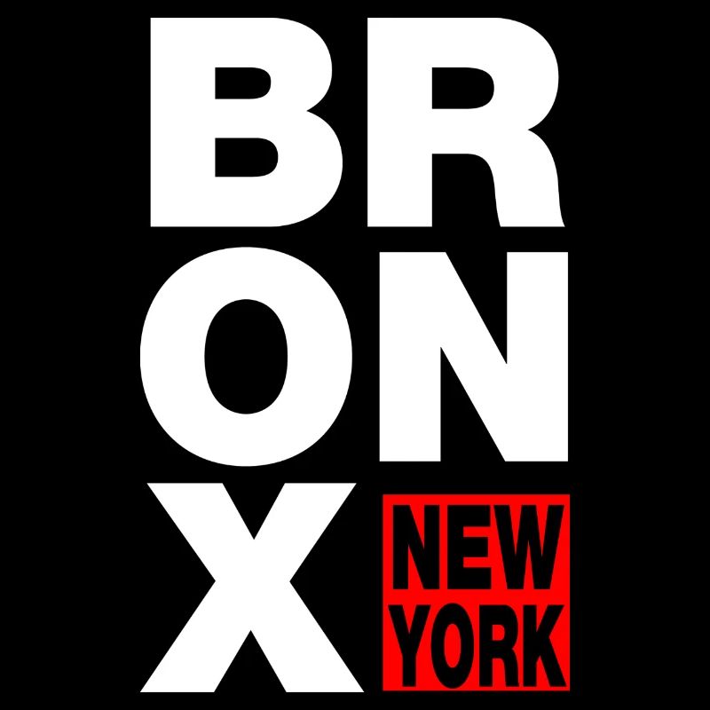 bronx new york