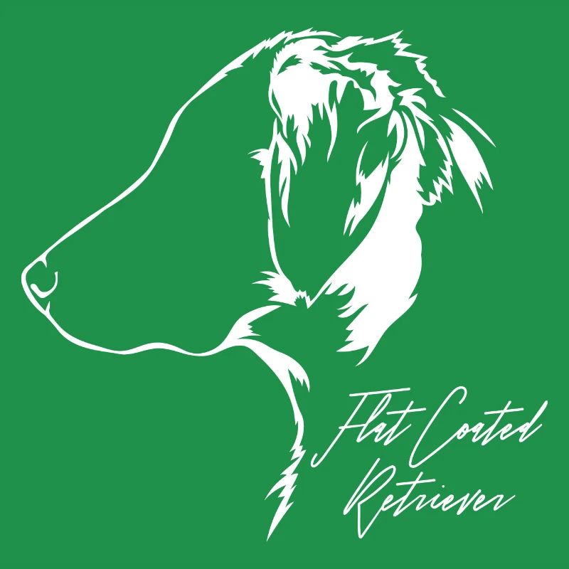 FLAT COATED RETRIEVER Profil Chiens Wilsigns