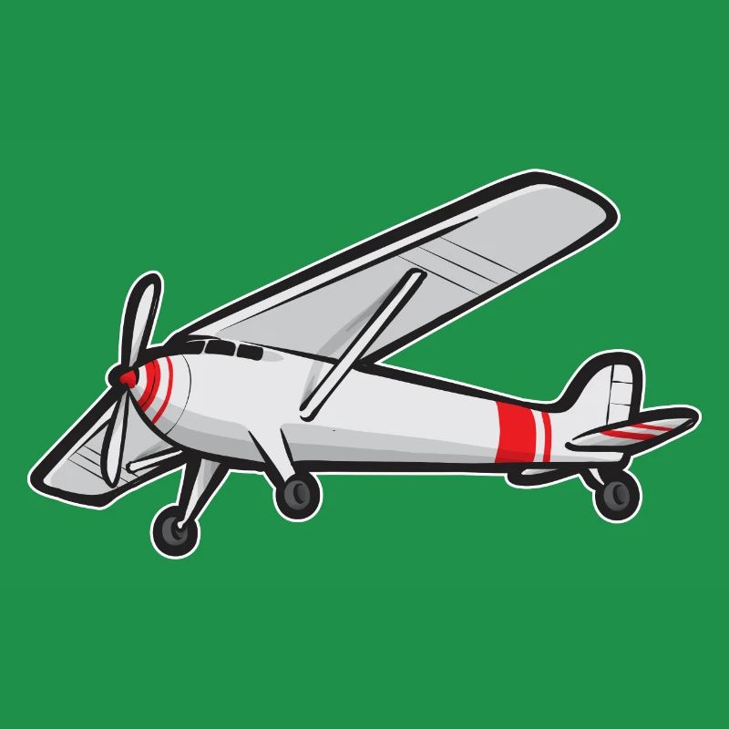 Modèle d’avion télécommandé