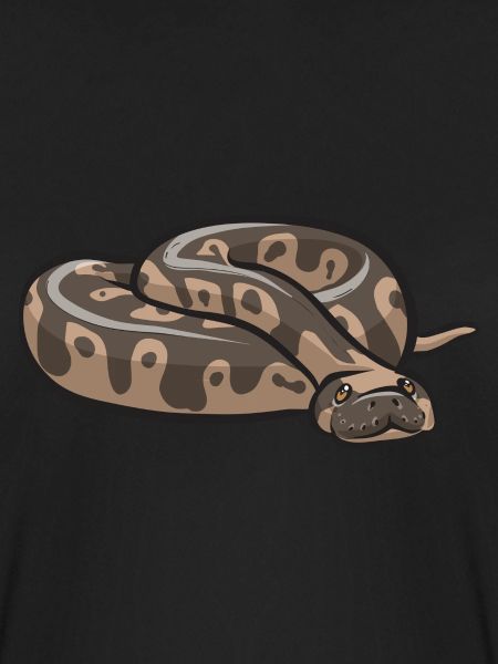 Ball Python Schlange Königspython