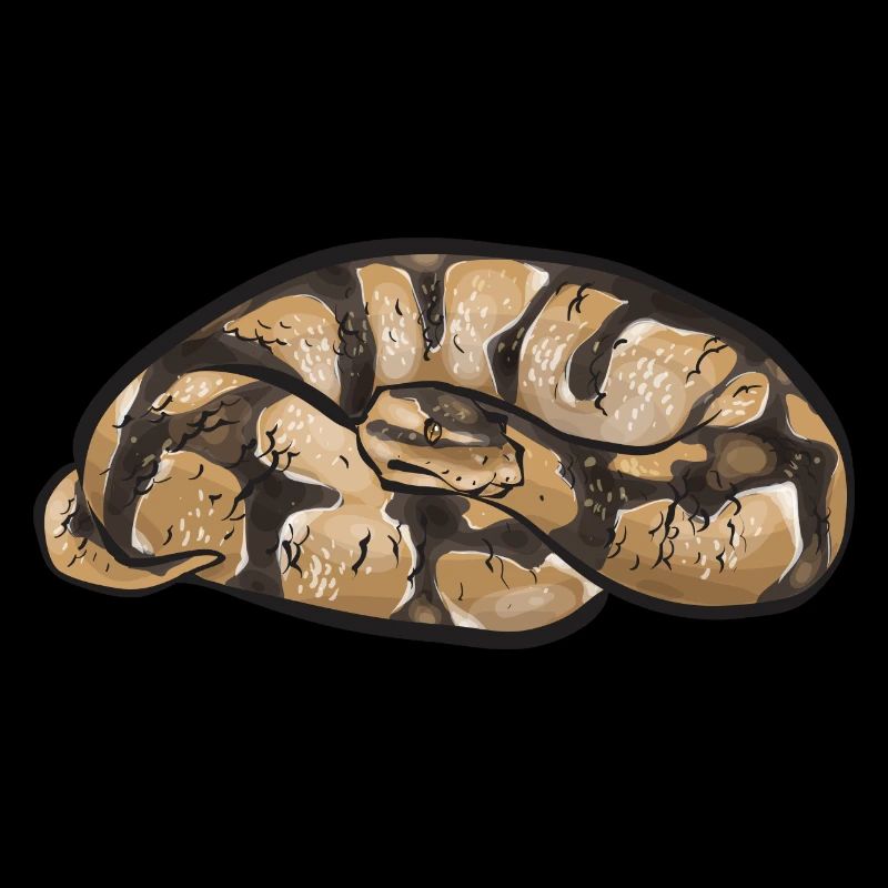 Ball Python Schlange Königspython
