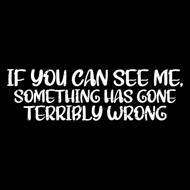 If You Can See Me, Something Has Gone Wrong 4