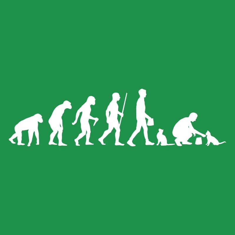 Evolution Cat Cat Owner Cat Owner