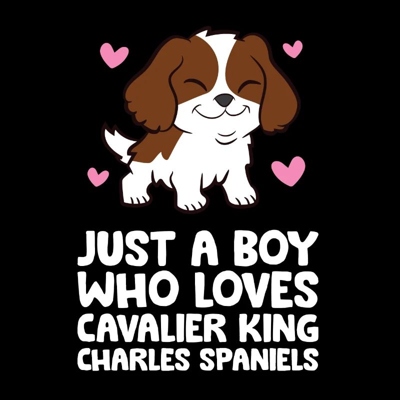 Nur ein Junge, der Cavalier King Charles Spaniels