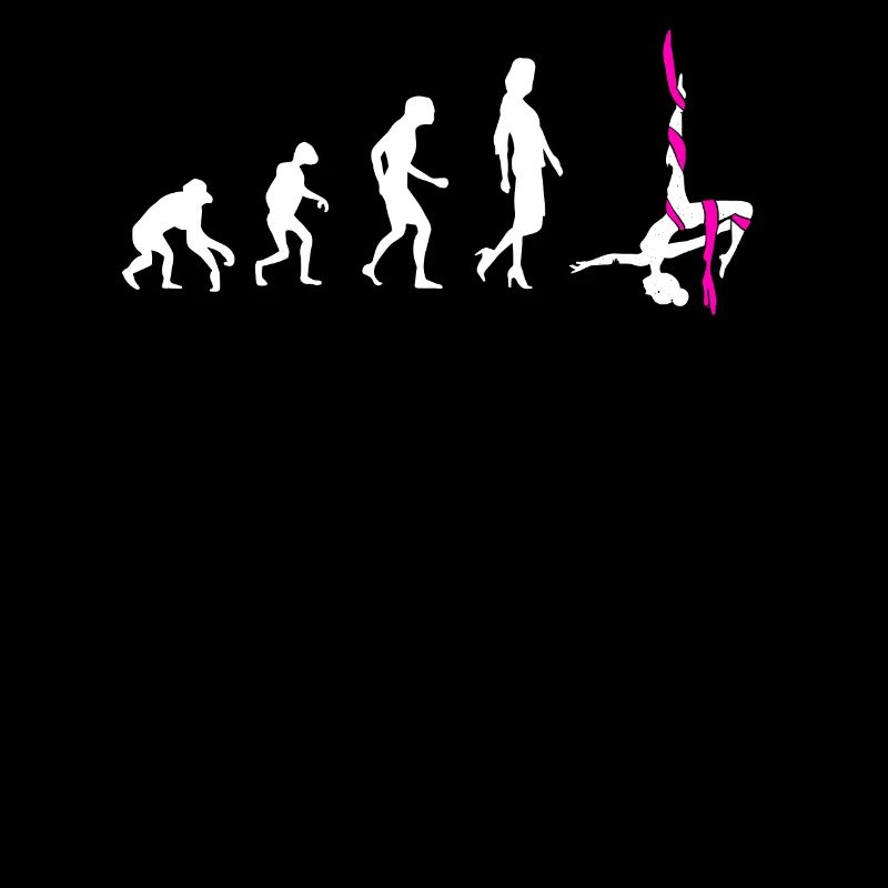 Aerial Silk Evolution - Akrobatik Gymnastik