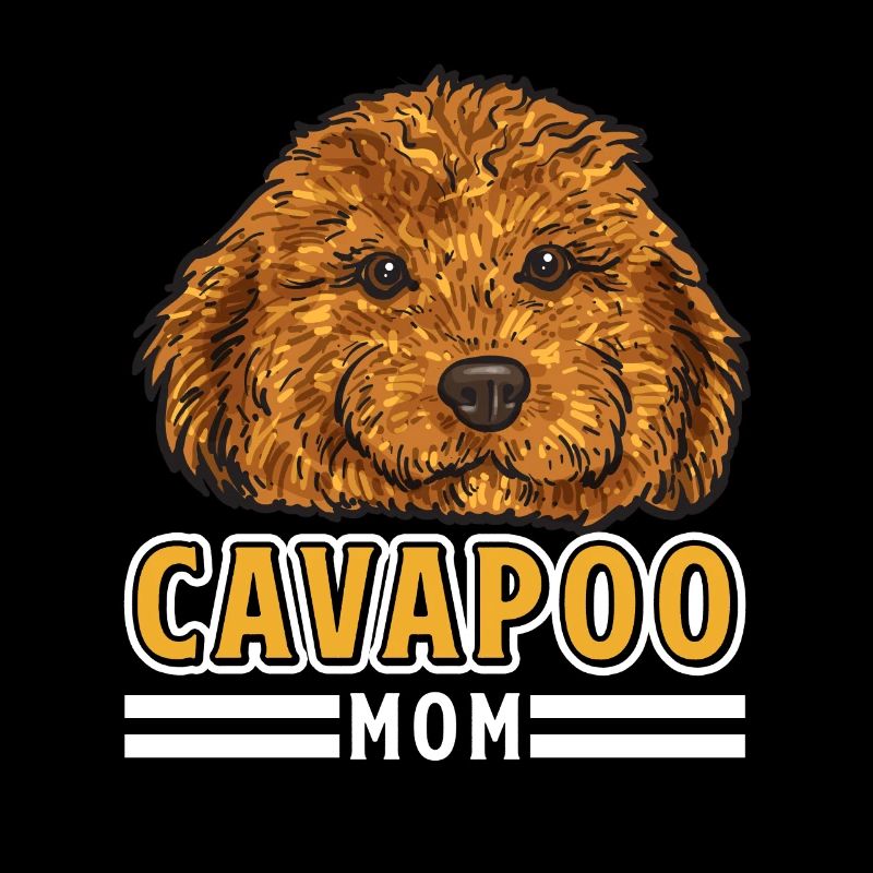 Cavapoo Cavoodle Capoodle Hund
