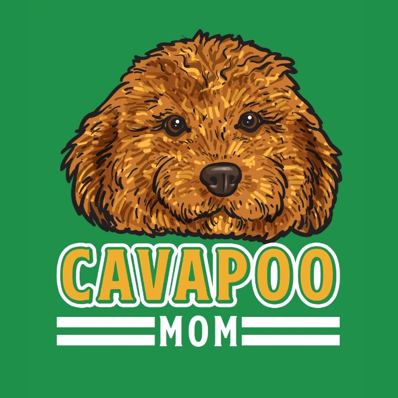 Cavapoo Cavoodle Capoodle Hund