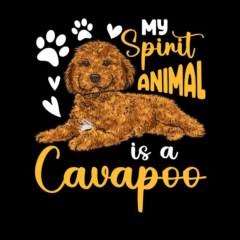 Cavapoo Cavoodle Capoodle Chien