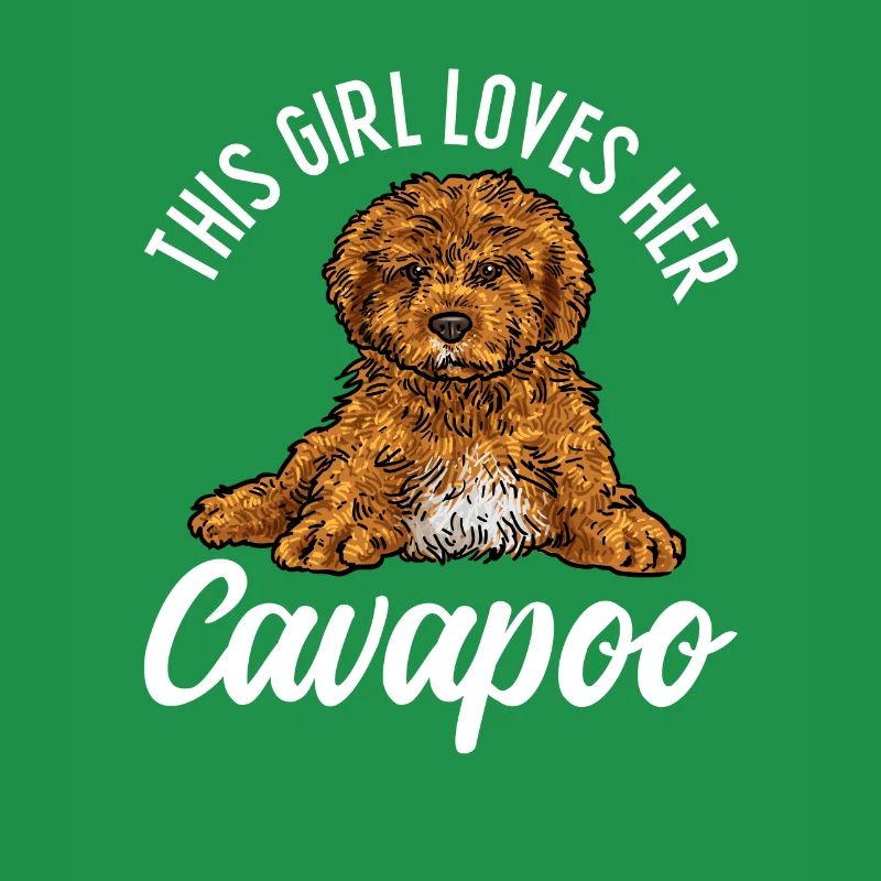 Cavapoo Cavoodle Capoodle Dog