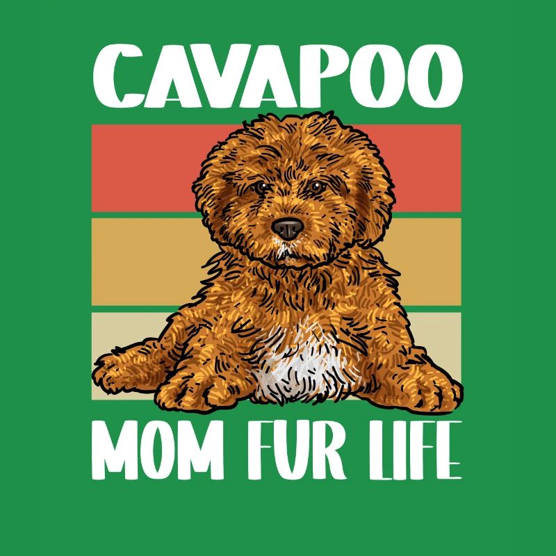 Cavapoo Cavoodle Capoodle Hund