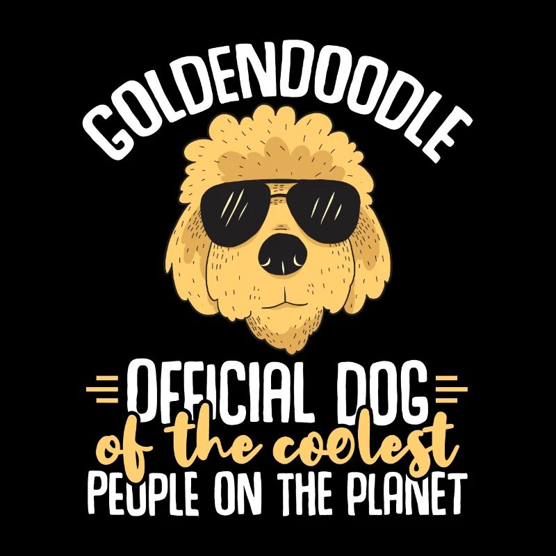 Goldendoodle Doodle Dog