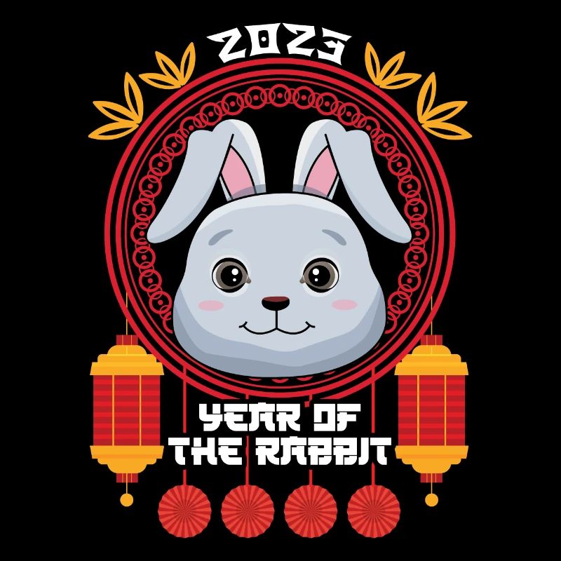 Lapin Hello 2023 Joyeux Nouvel An chinois