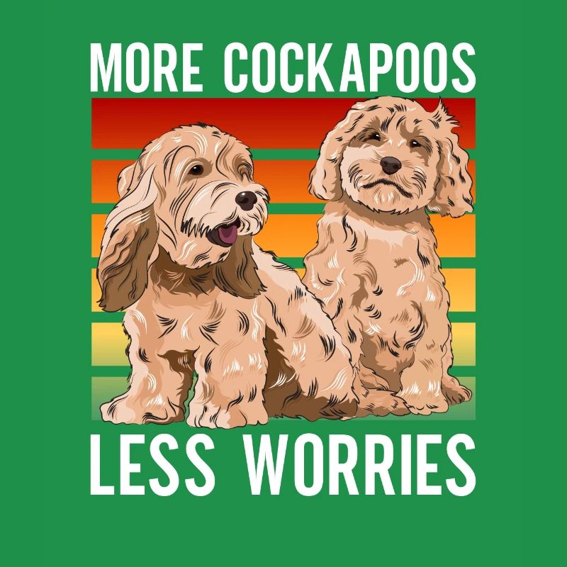 Cockapoo Chien