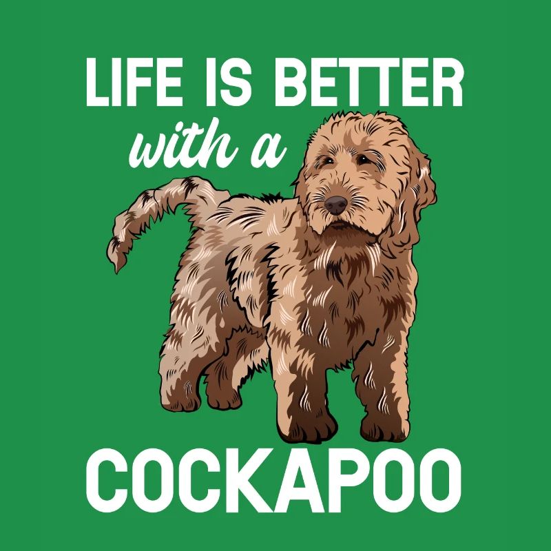 Cockapoo Chien