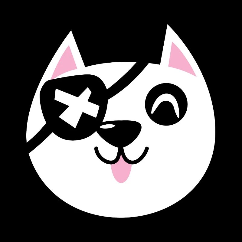 Pirate Cat