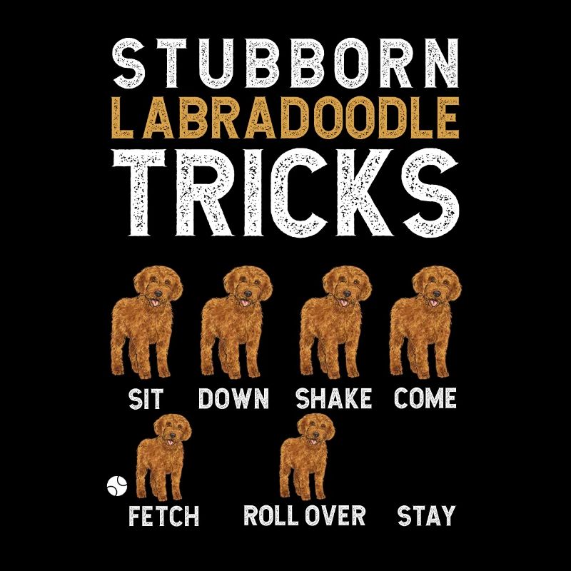 Labradoodle Hund