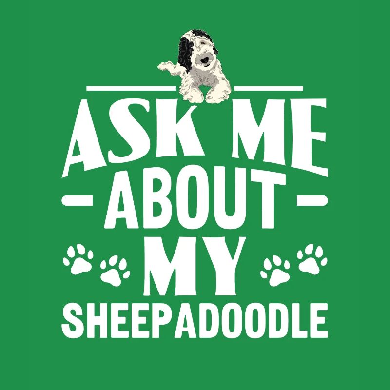 Sheepadoodle Doodle Dog