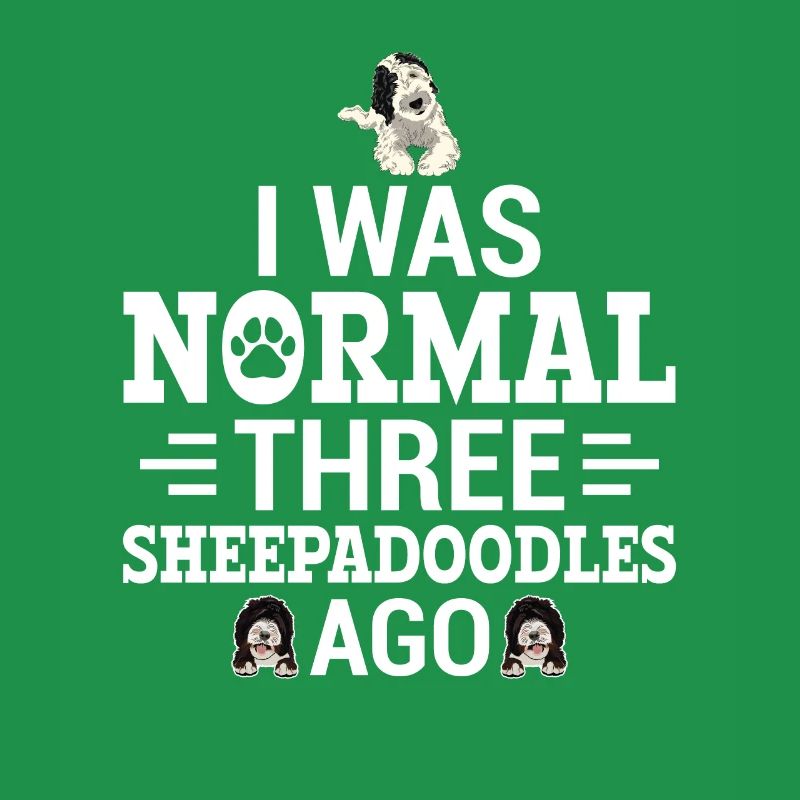 Sheepadoodle Doodle Dog
