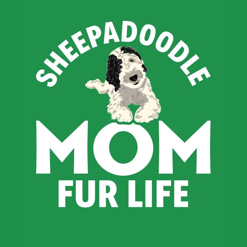 Sheepadoodle Doodle Dog