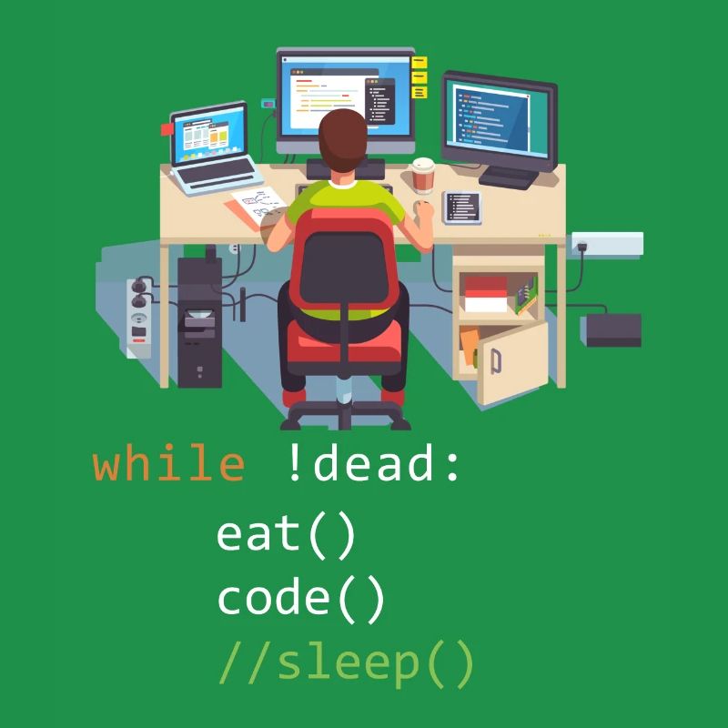 Informatique Python Programmeur Manger Code Sommeil