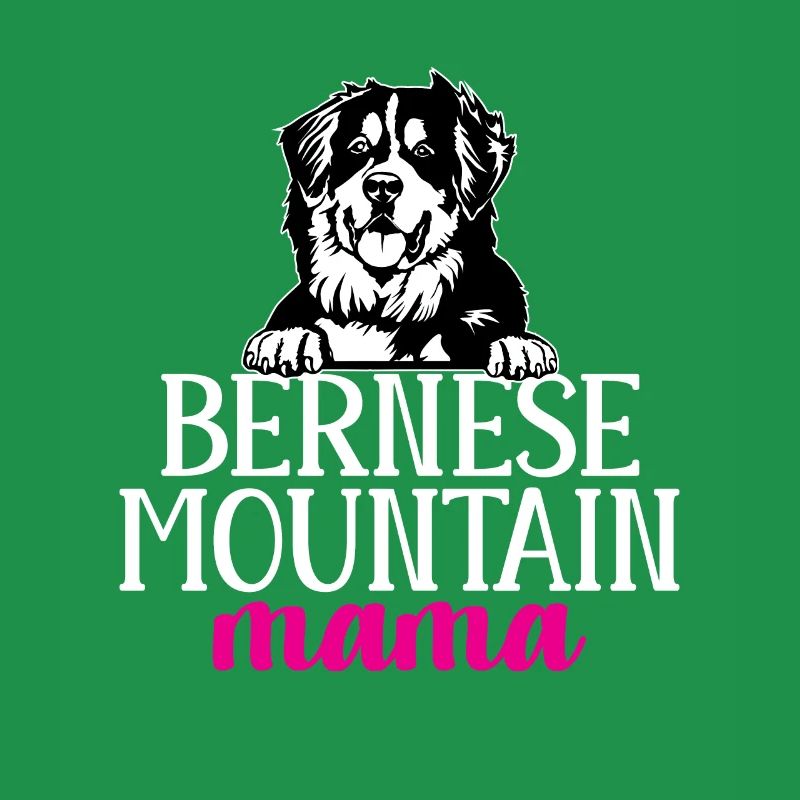 Bouvier bernois