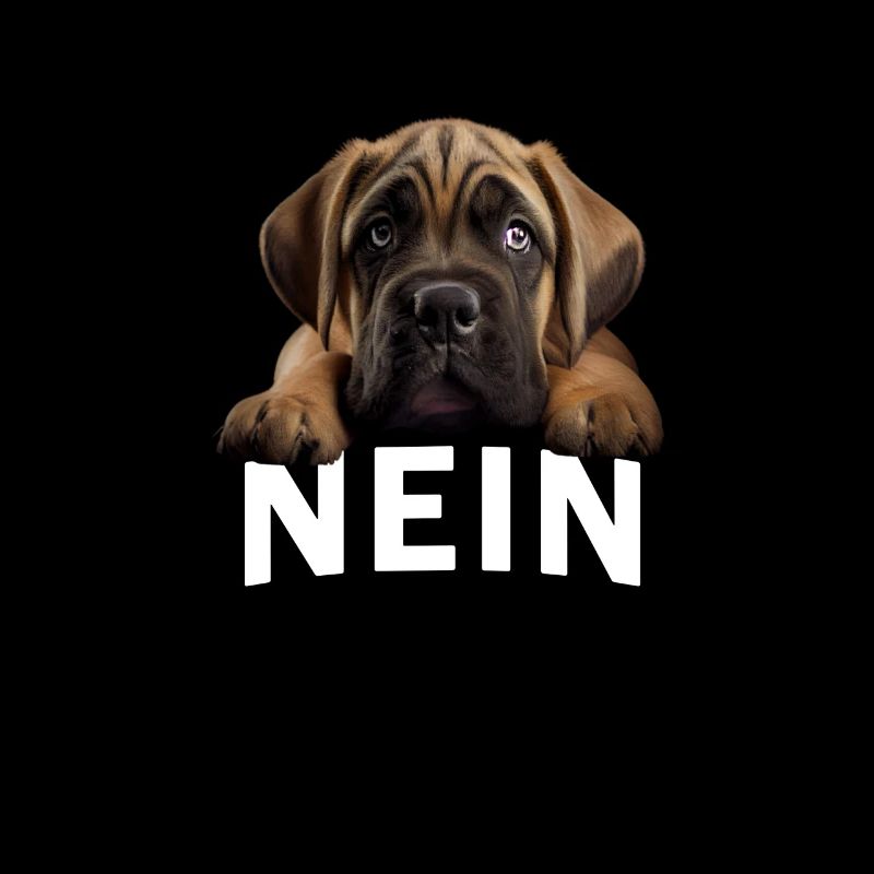 Statement Deutsche Bulldogge, Nö Fun, Einfach Nö,