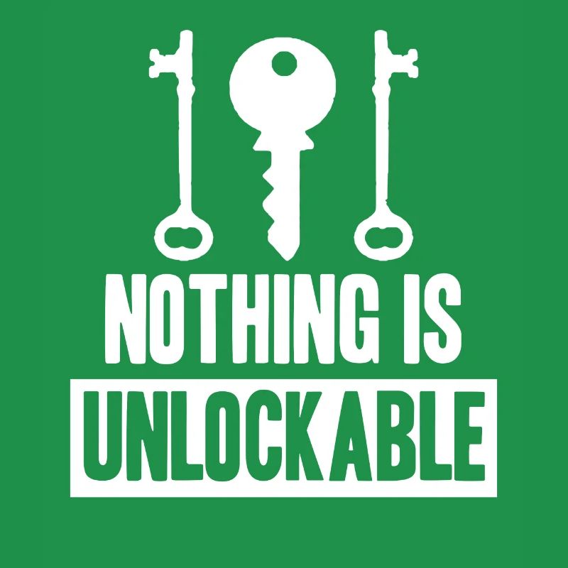 Locksmith Nothing is unlockable Pick Tools