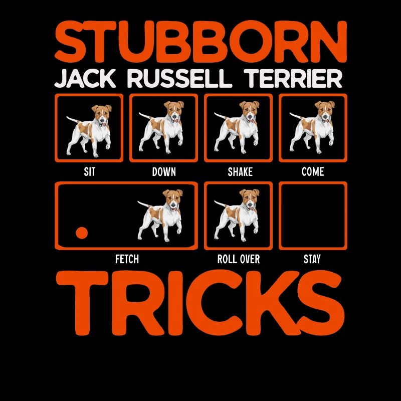 Jack Russell Terrier