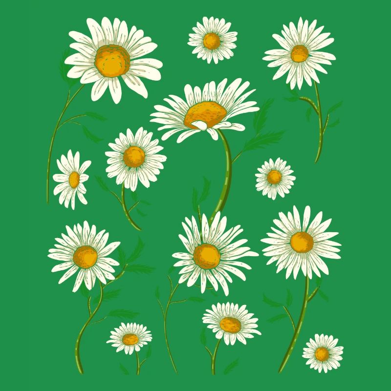 Gänseblümchen Hobbygärtner Geschenk Blumen Botanik