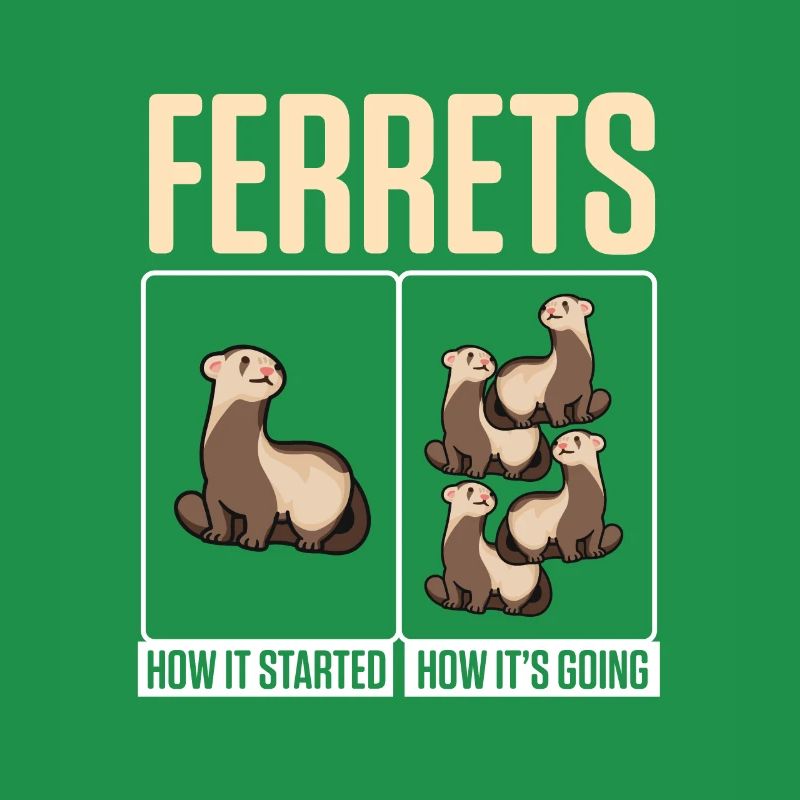 Weasel Cute Ferrets How It Started How It's Going