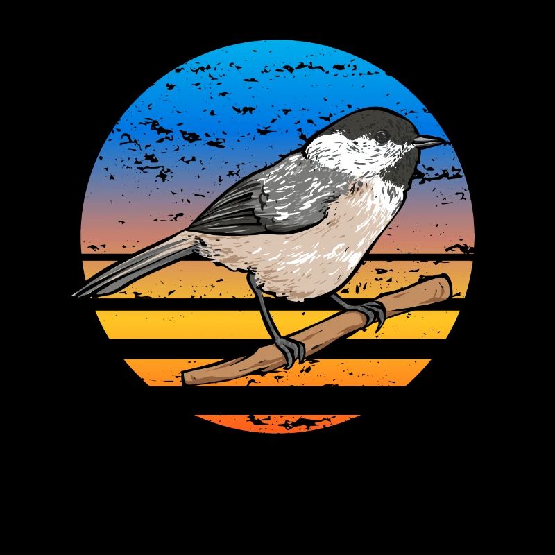 Meise Vogel Chickadee Vogelbeobachtung