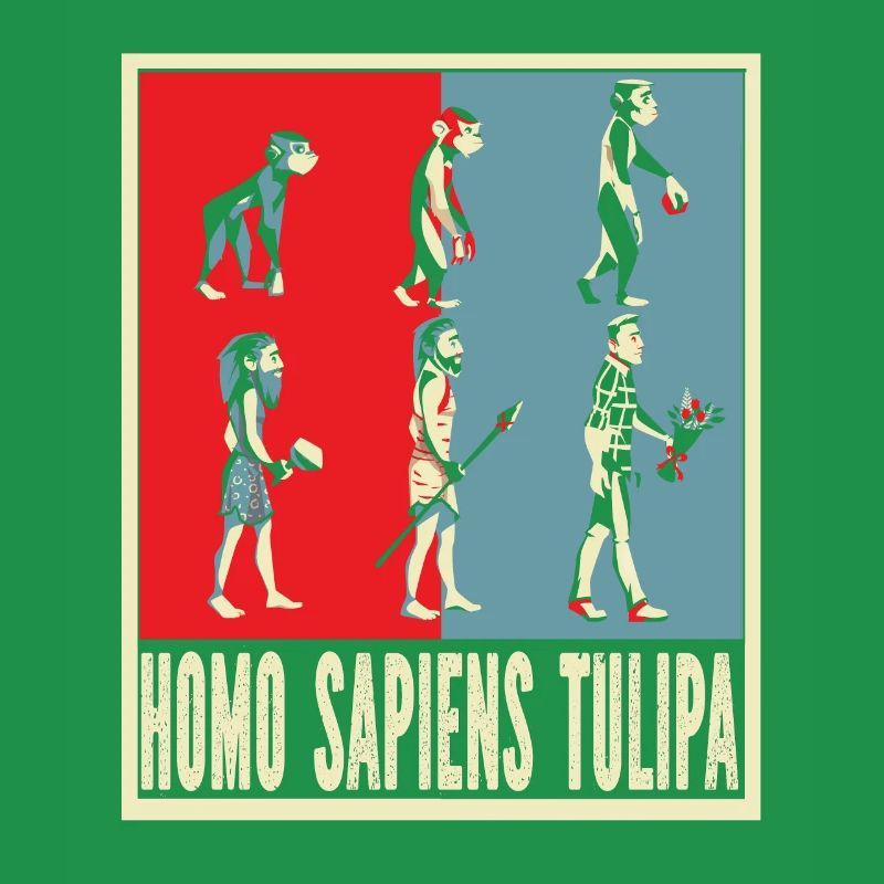 Tulipes Evolution Tulipes