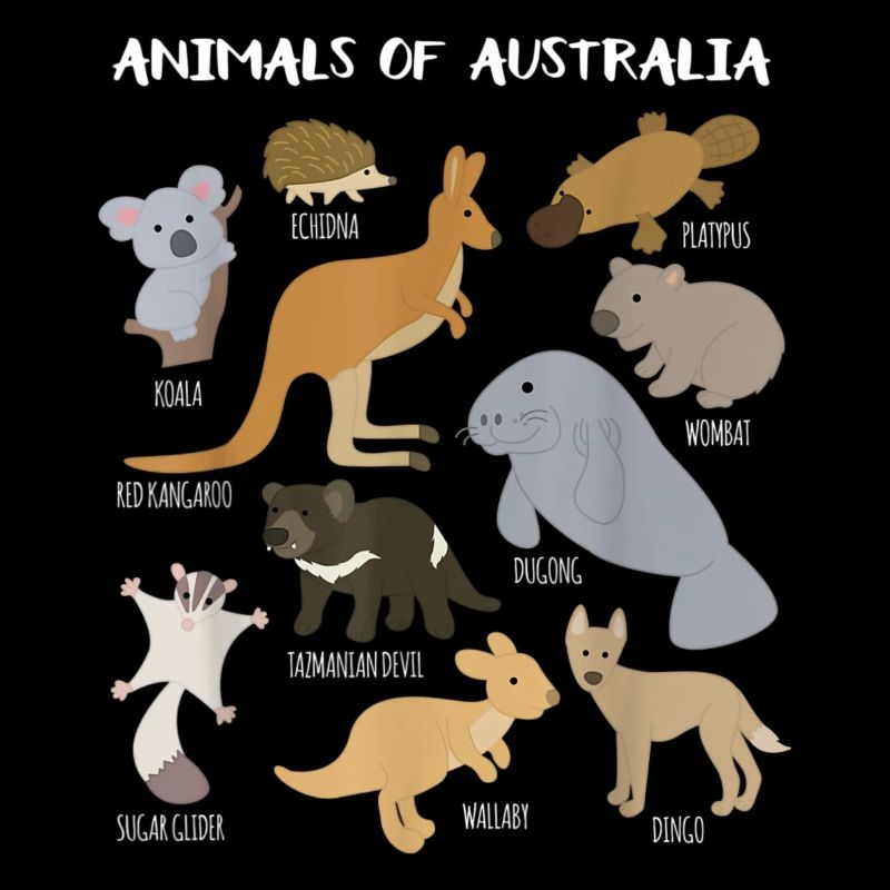 Tiere Australiens Australische Tierpädagogik