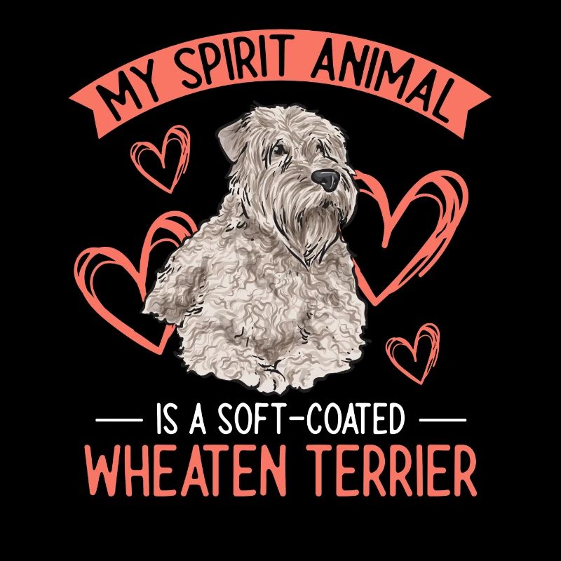 Terrier irlandais à enrobage doux
