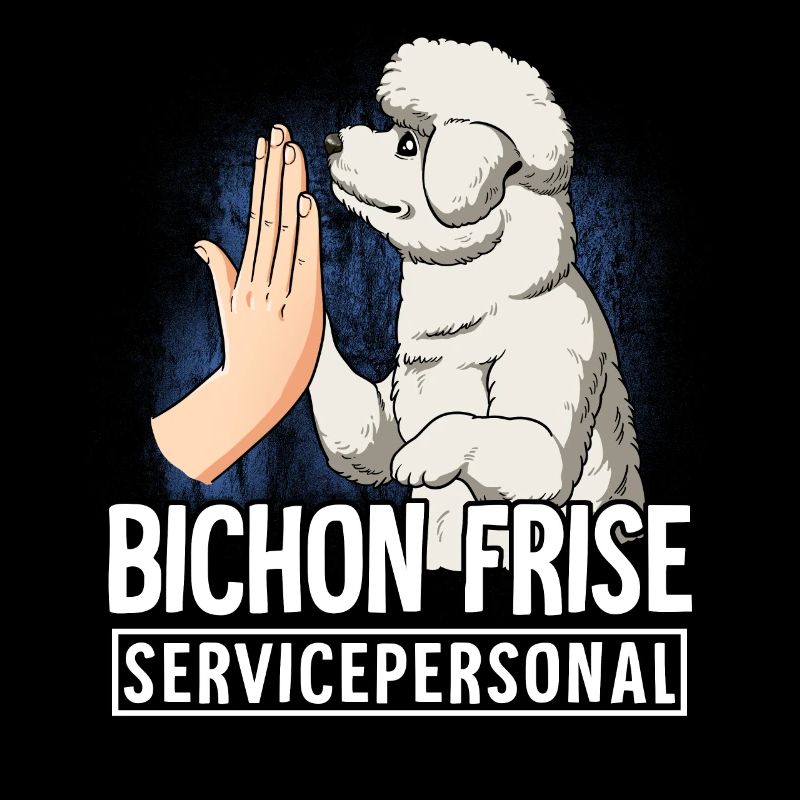 Bichon Frise