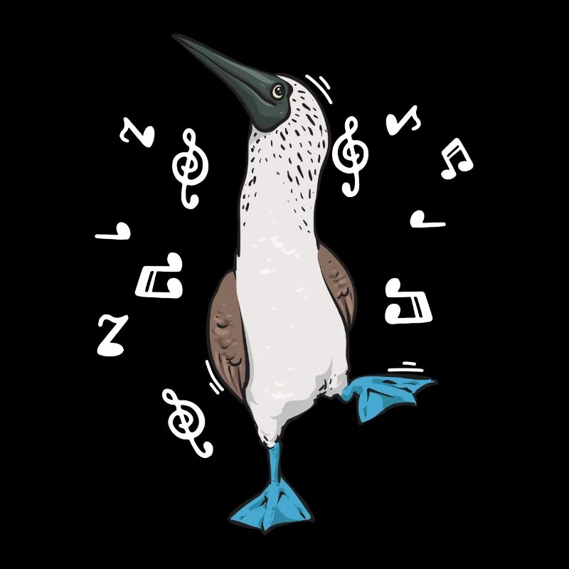 Blaufußtölpel Blue-footed Booby Seevogel