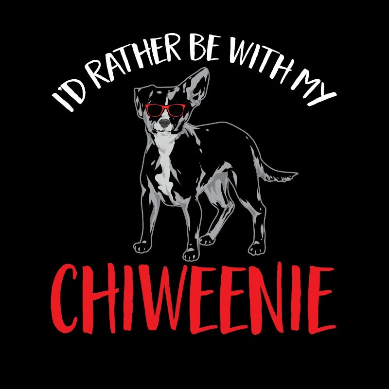 Chiweenie Dog