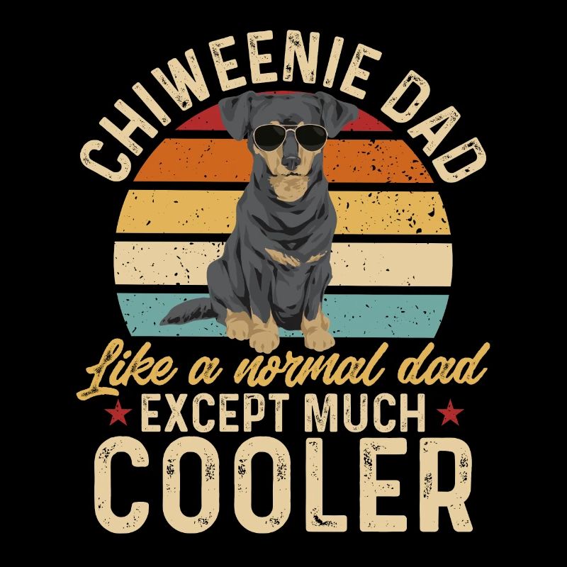 Chiweenie Dog