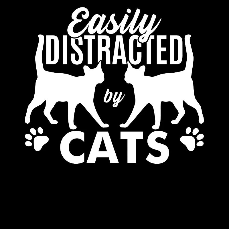 Facilement distrait par les chats