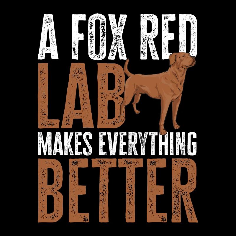 Foxred Labrador Fuchsroter Labrador Retriever