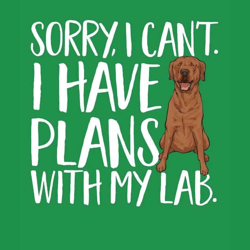 Foxred Labrador Fox Red Labrador Retriever