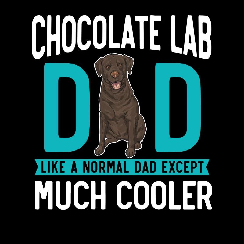 Chien Labrador Retriever chocolat
