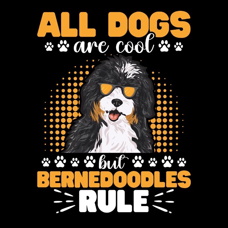 Bernedoodle Hund