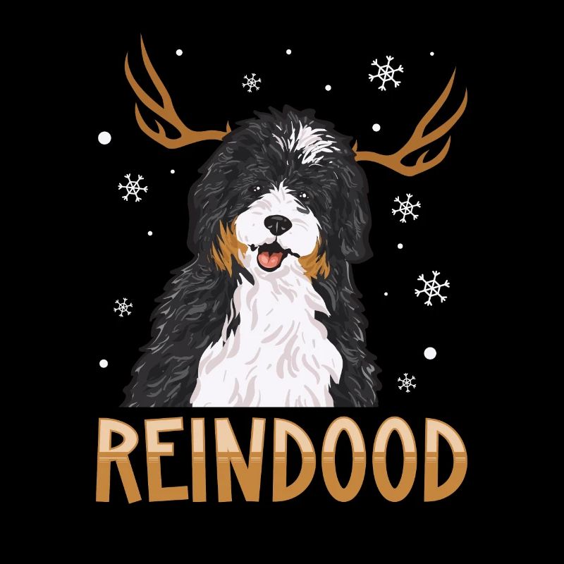 Bernedoodle Hund