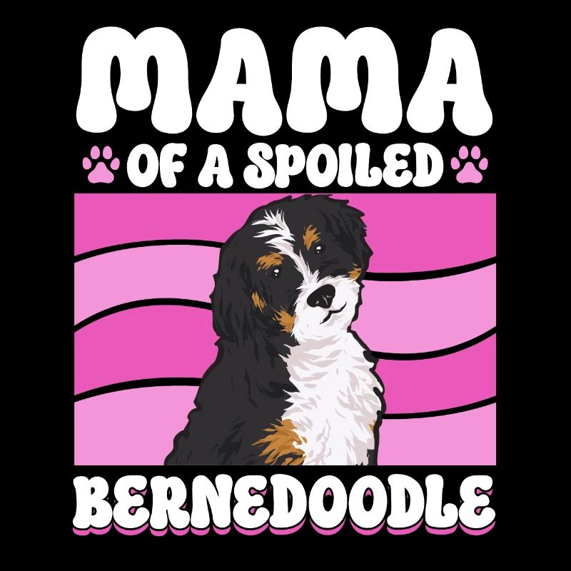 Bernedoodle Hund