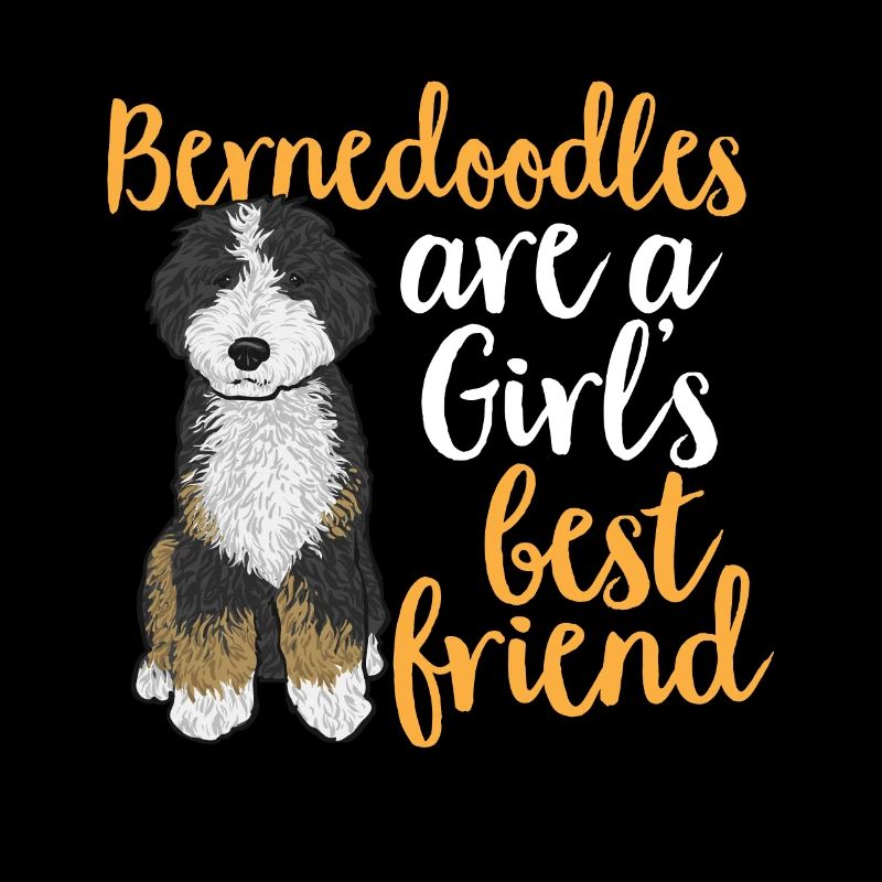 Bernedoodle Hund